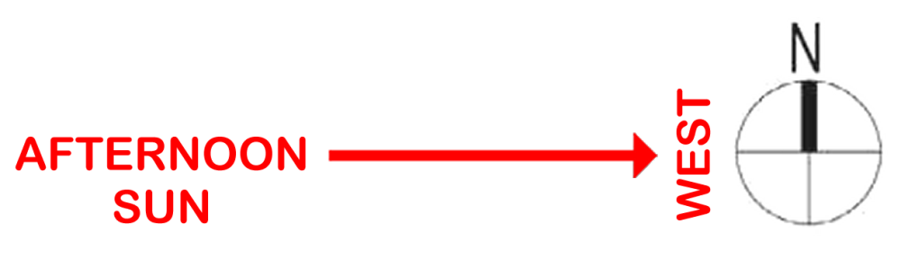 image.thumb.png.6464105bf39ba308055fd0f991103d97.png