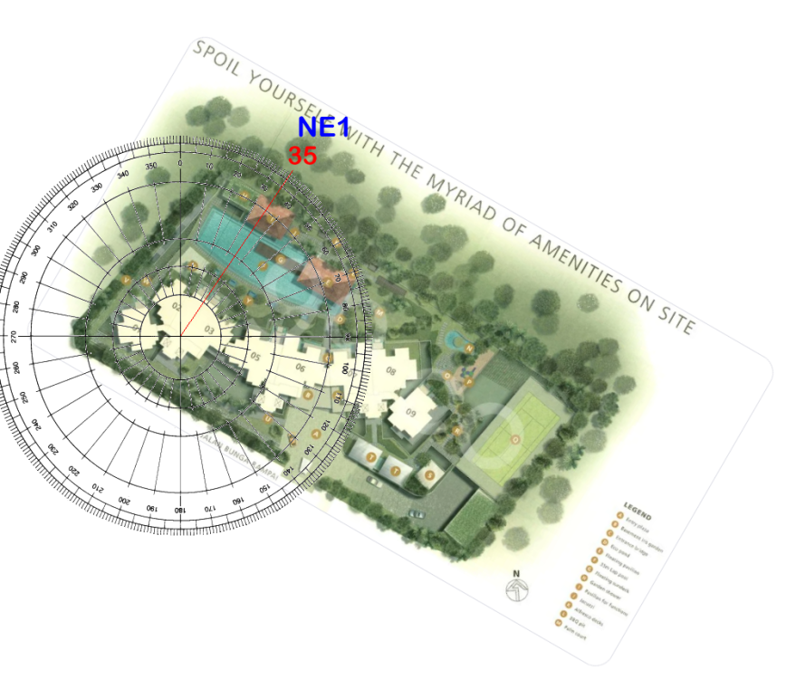 1 Oasis Garden flying stars 1.png