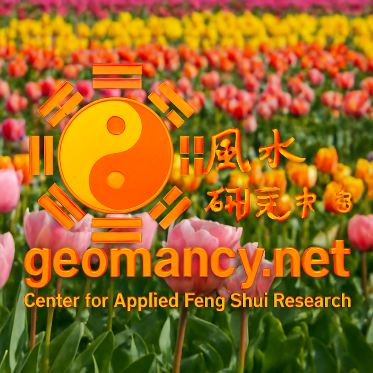 GEOMANCYNET (17).png