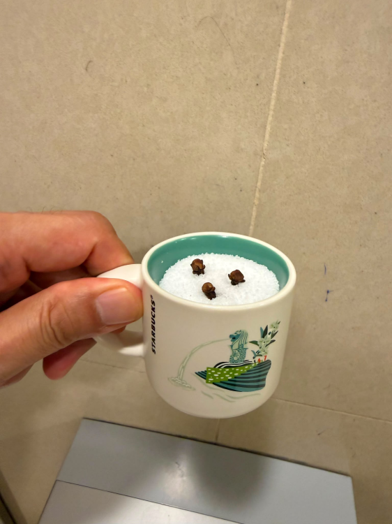 cloves in cup.png